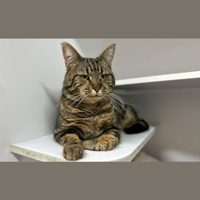 Photo of Mr. Ted