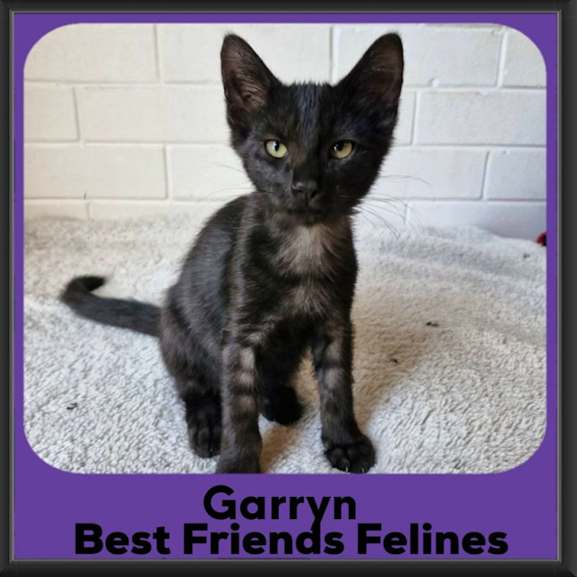 Photo of Garryn