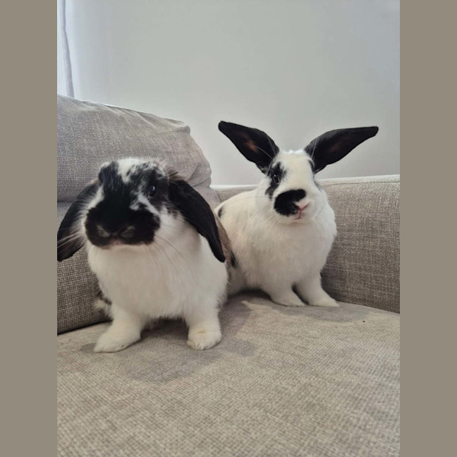 Photo of Andy & Astro