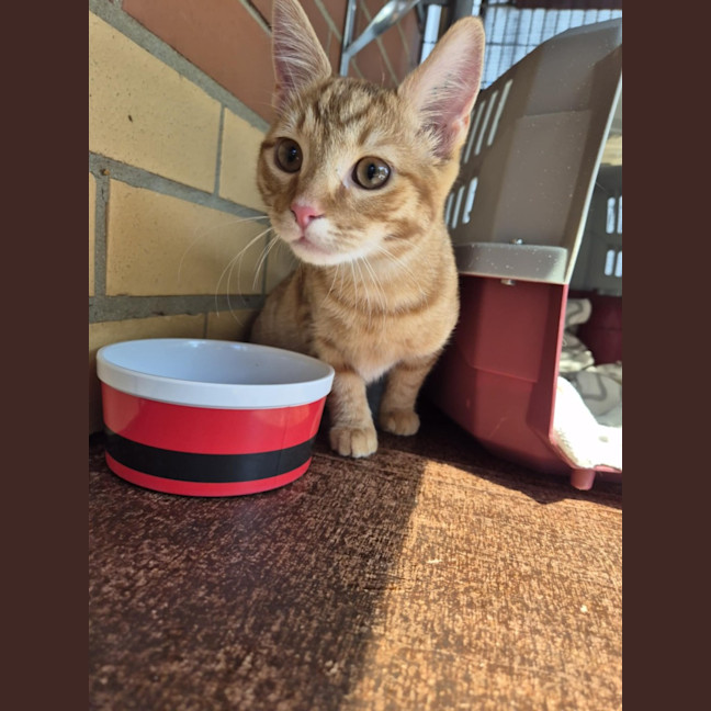 Photo of Monkey! 🦧 