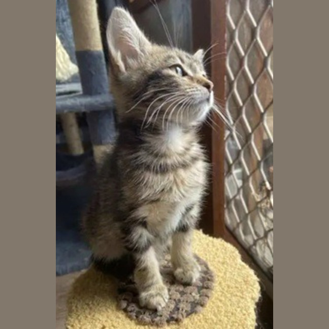 Photo of Winslow