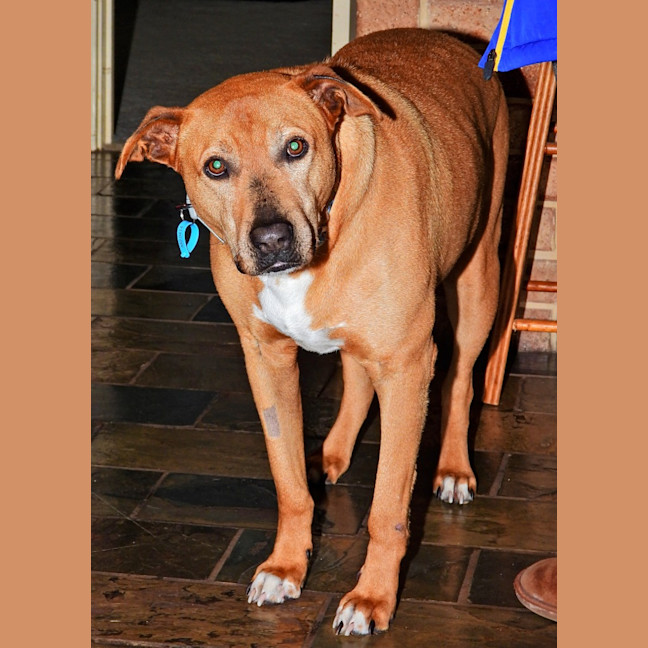 Photo of Maverick
