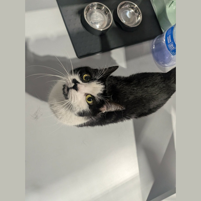 Photo of Prada