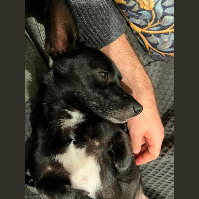 Photo of Busby