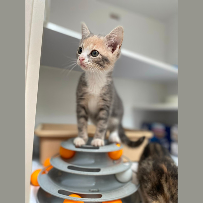 Photo of Geneva (9958)