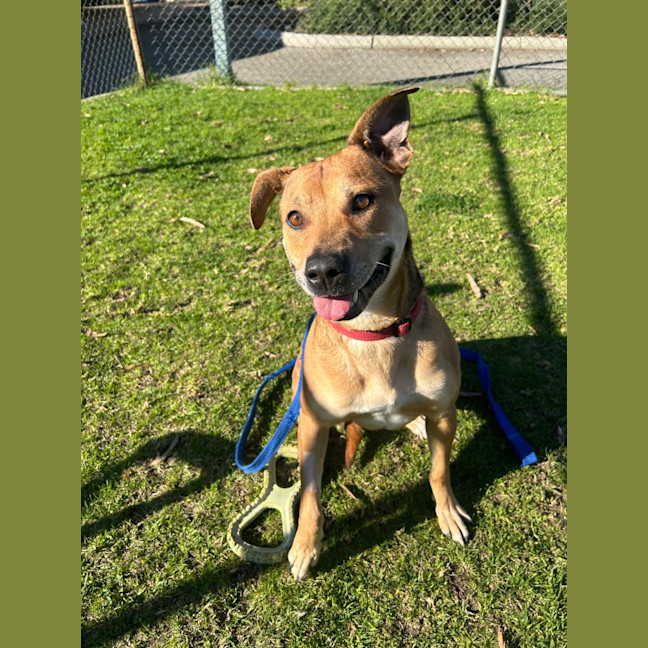 Photo of Ripley