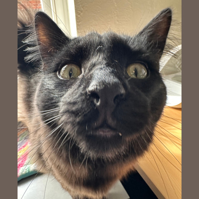 Photo of Max