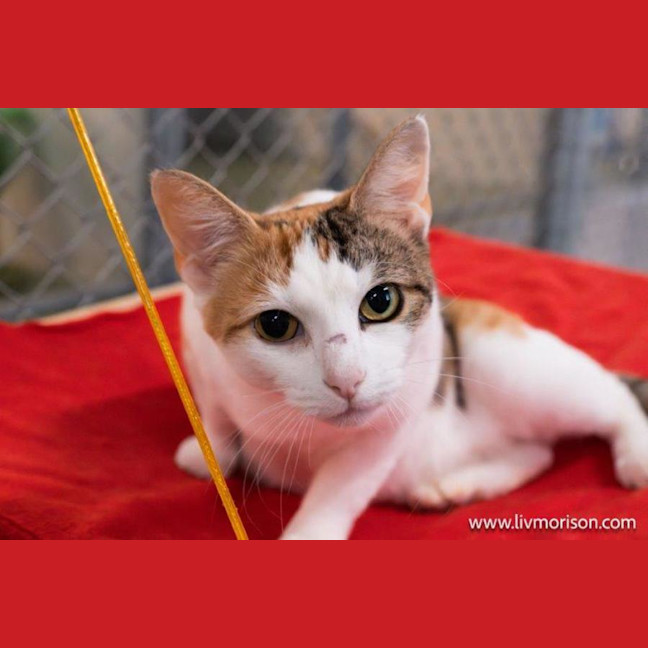 Photo of Hazel Moriarty