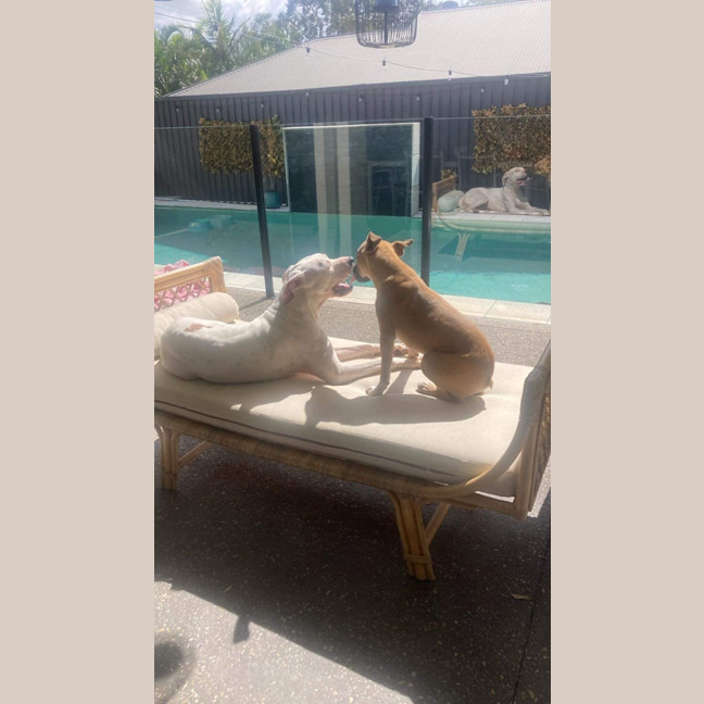 Photo of Phoebe