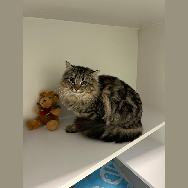 Photo of Dottie