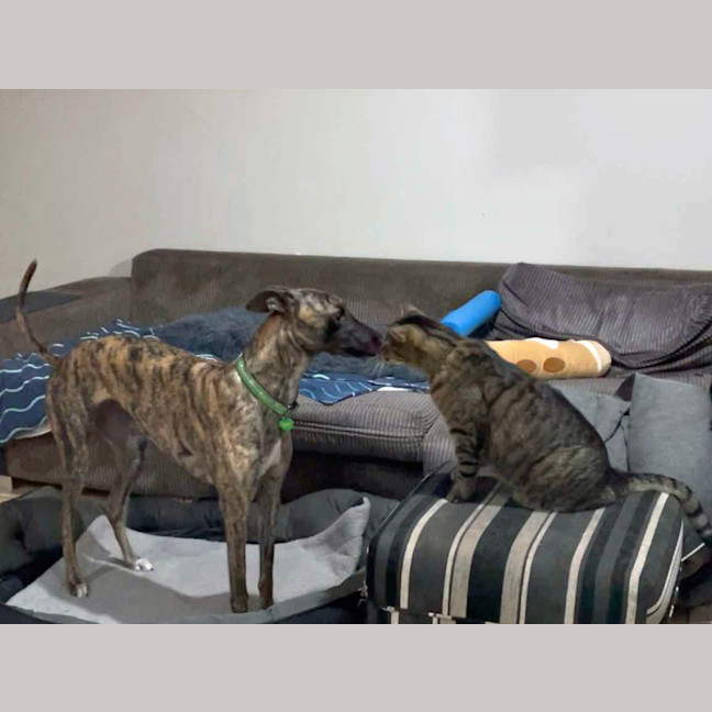 Photo of Meg (Little Meg)