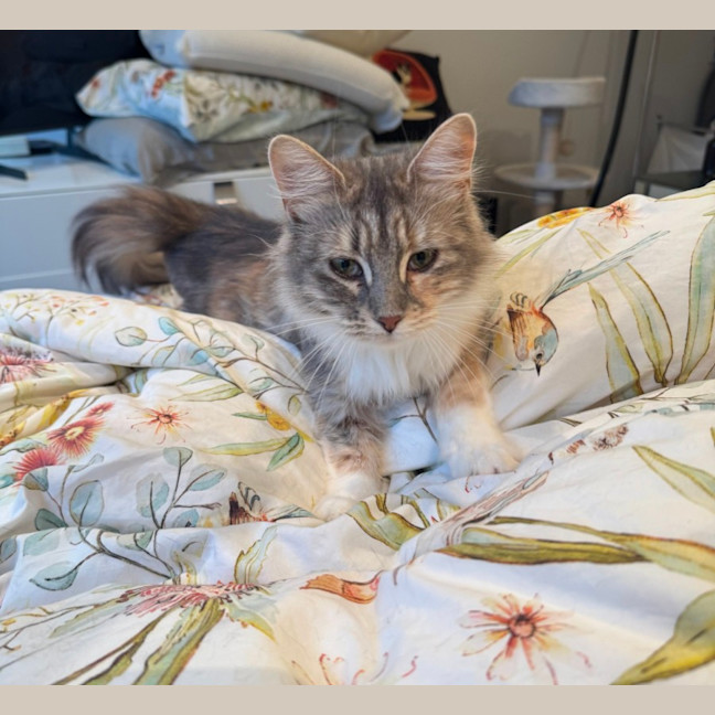 Photo of Lucy