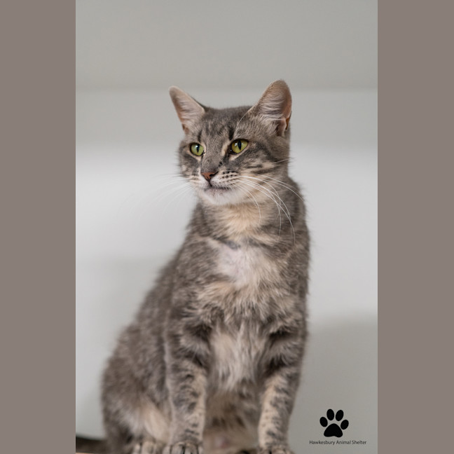 Photo of Missy