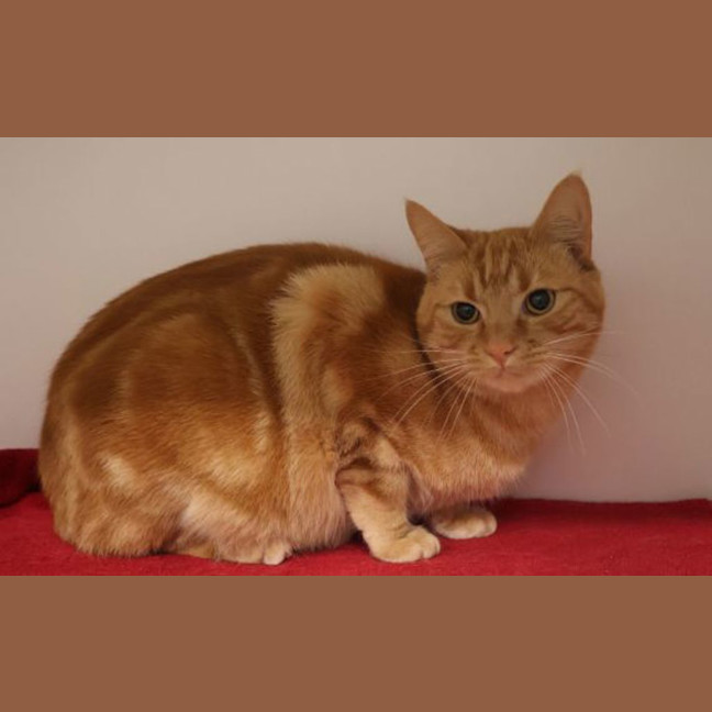 Photo of Amos