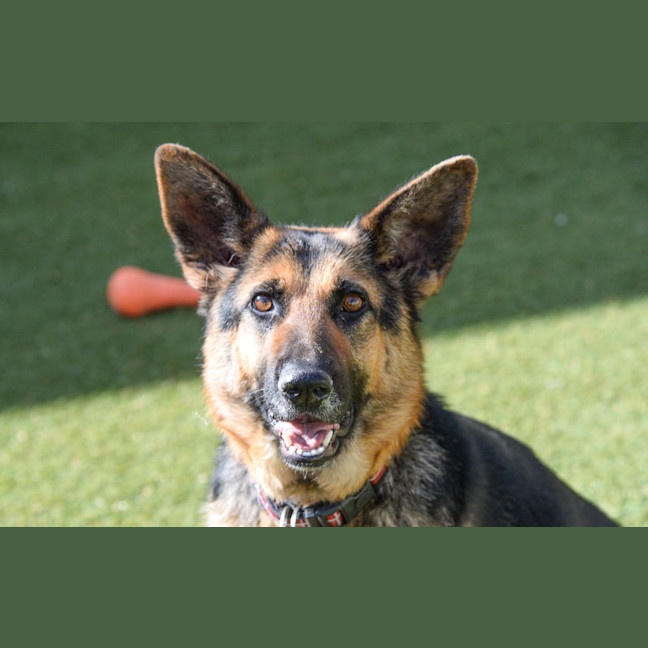 Photo of Tia
