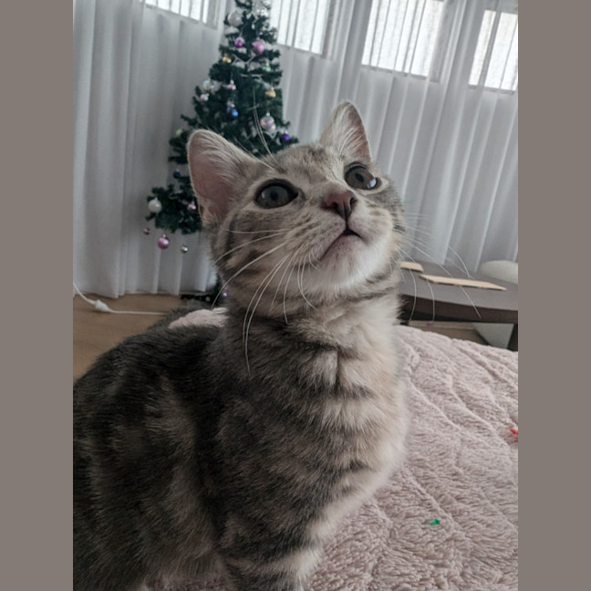 Photo of Ash Wednesday 🩶