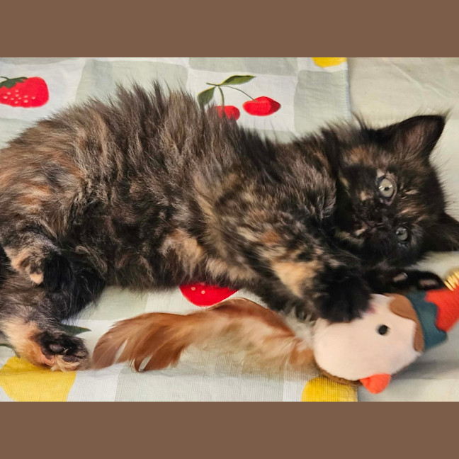 Photo of Lila