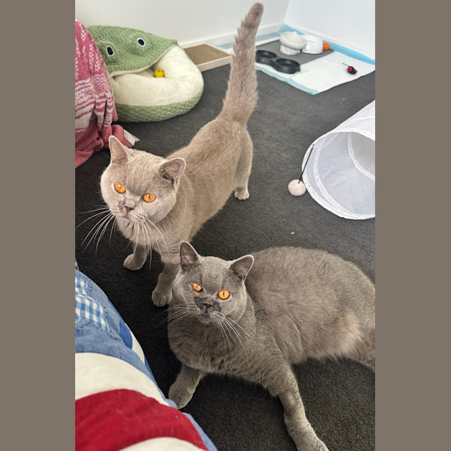 Photo of Ghost