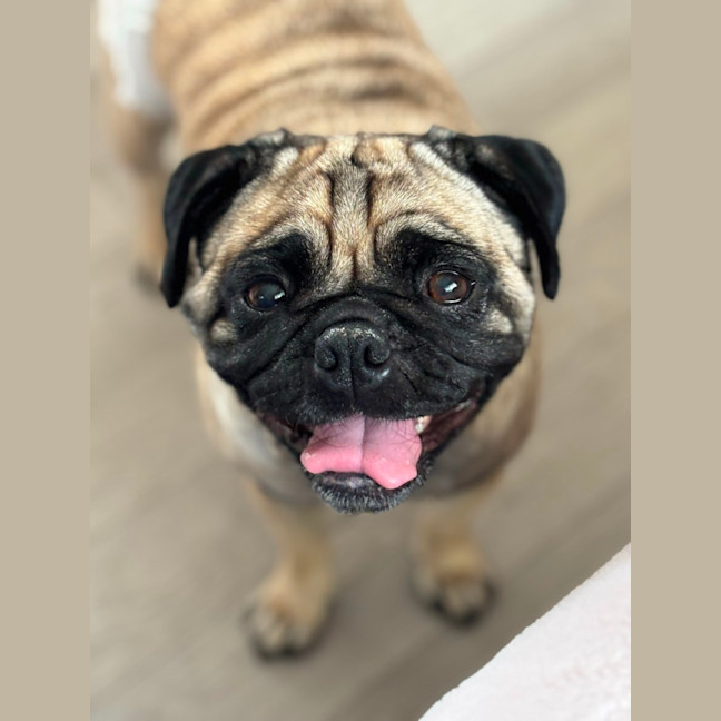 Photo of Lily