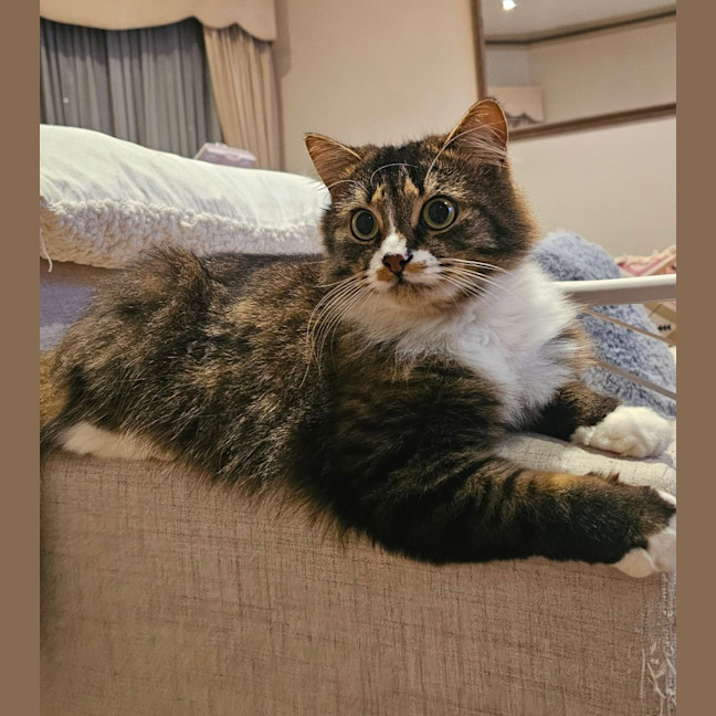 Photo of Princy