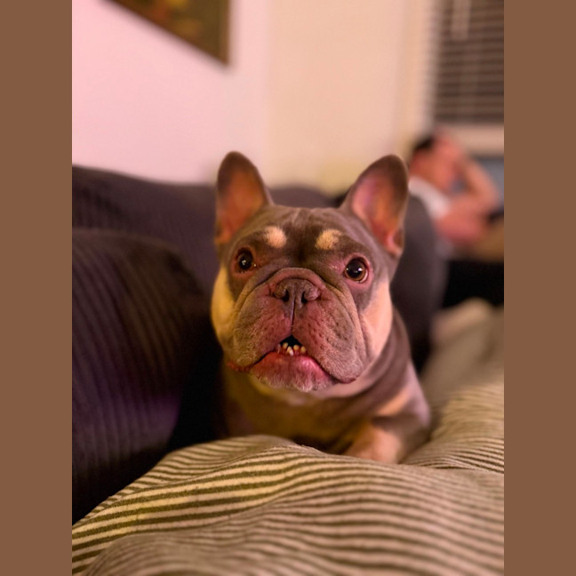 Photo of Peppa