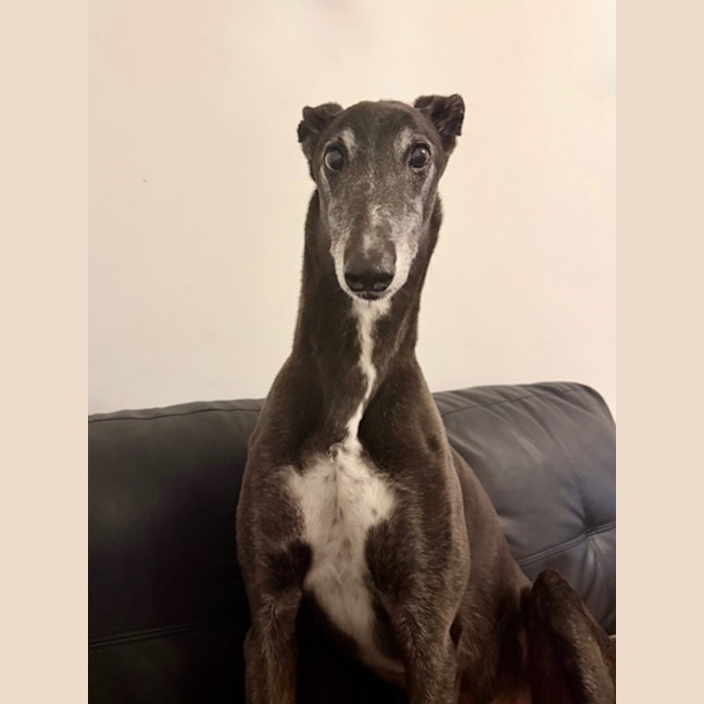 Photo of George