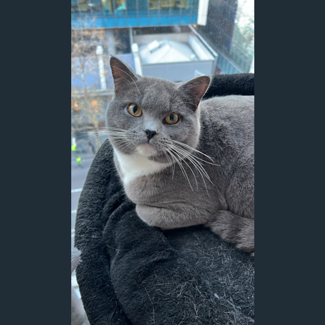 Photo of Leo