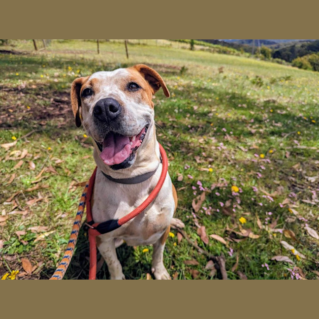Photo of Milly