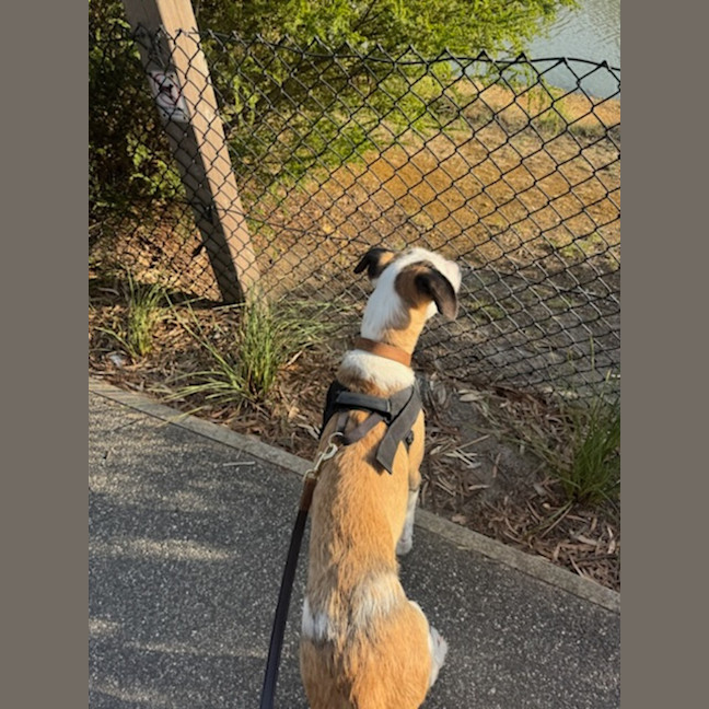 Photo of Isla