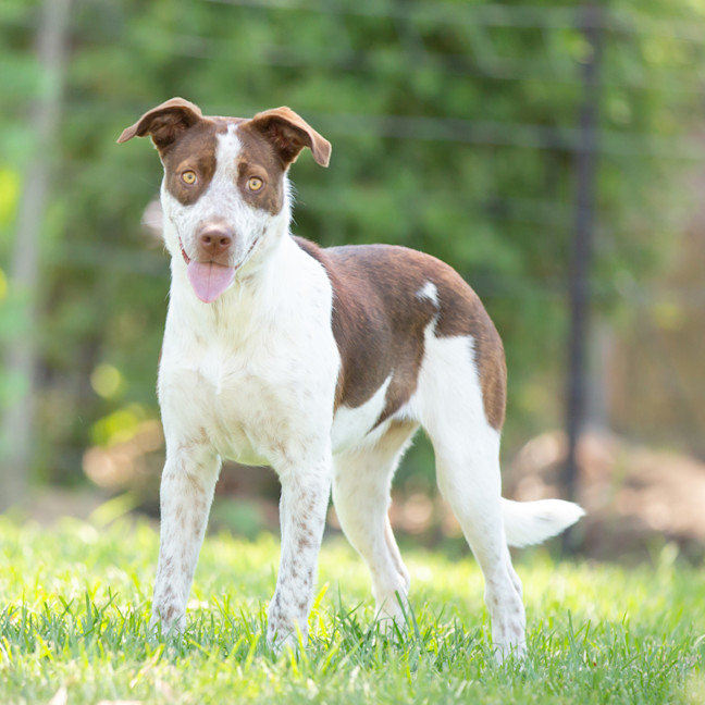 Photo of Coco