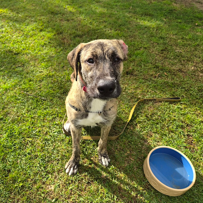 Photo of Charlie
