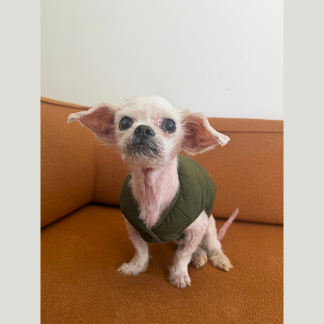 Photo of Archie