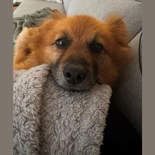 Photo of Kylo 