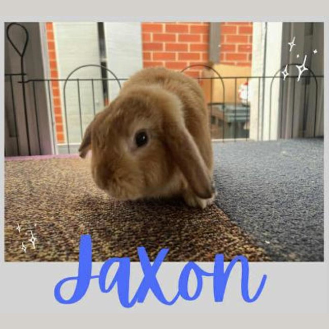 Photo of Jaxon