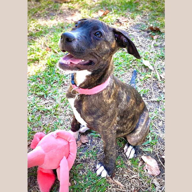 Photo of Zoe