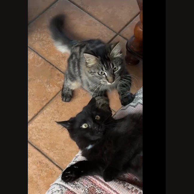 Photo of Abigail And Storm