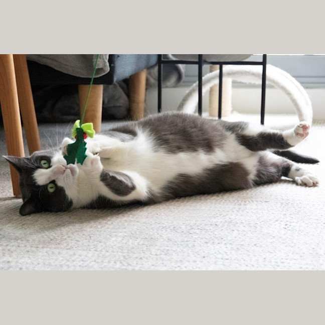 Photo of Billy Ebsworth