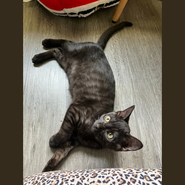 Photo of Monte ❤️