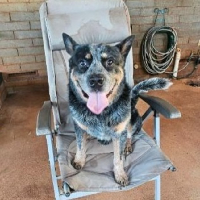 Photo of Tex