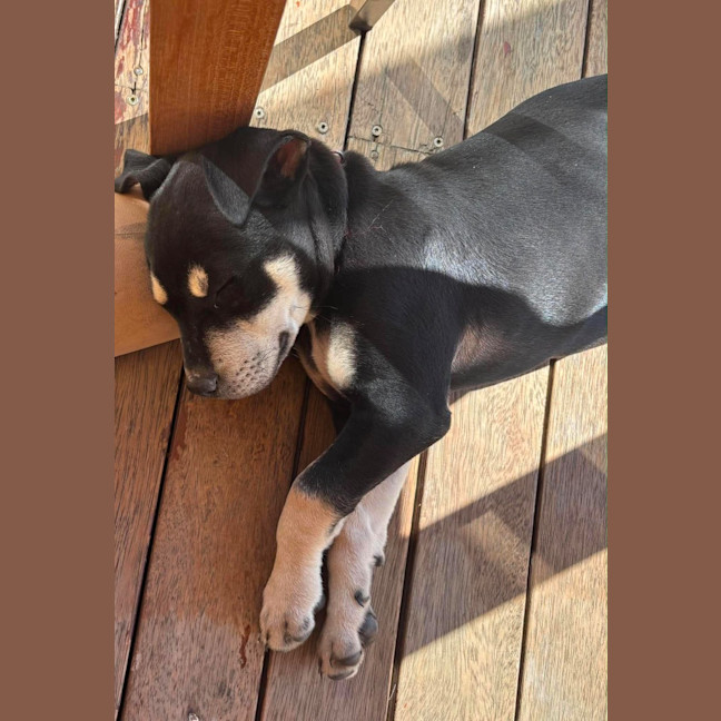 Photo of Reginald
