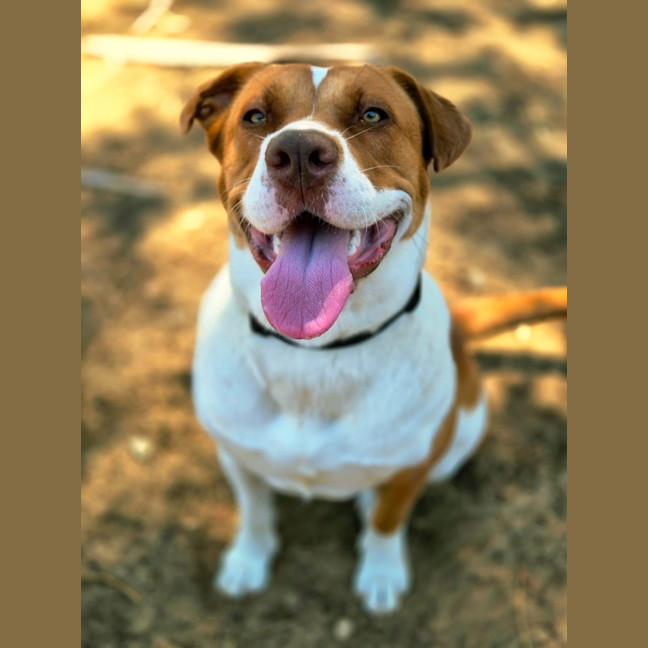 Photo of Daisy