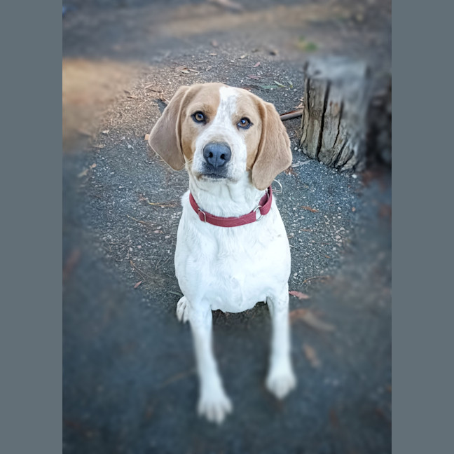 Photo of Porter
