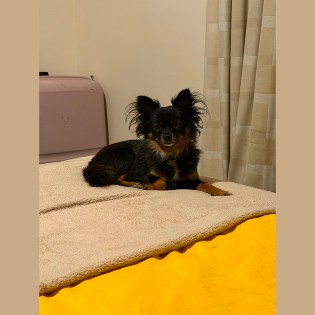 Photo of Jesse