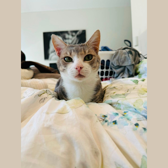 Photo of Emmie