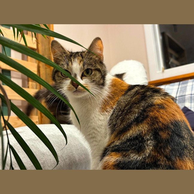 Photo of Mia