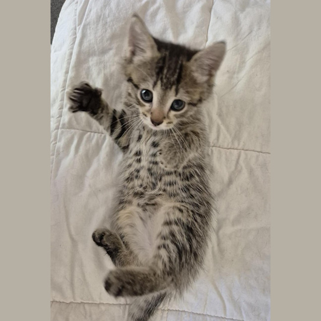 Photo of Winnie