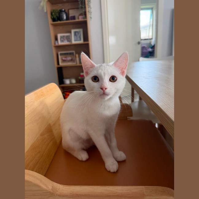 Photo of Soleil