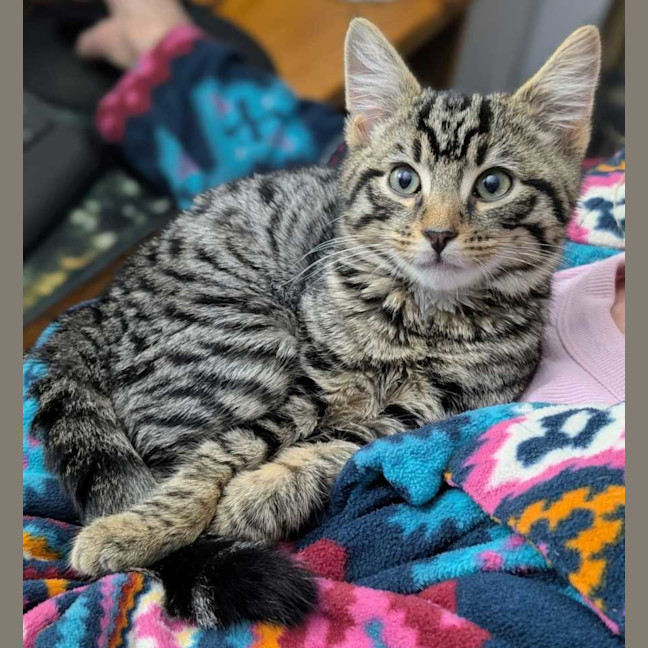 Photo of Rex