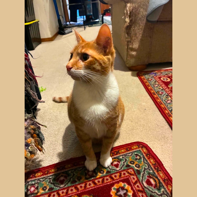 Photo of Ted