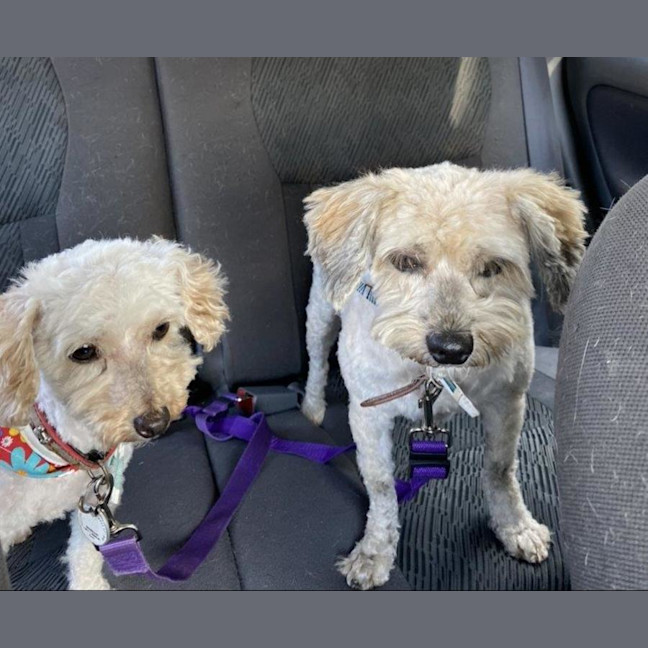 Photo of Angie And Naki Lozano